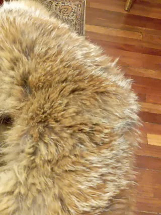 Abrigo de zorro natural