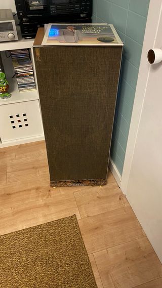 Altavoces Celestion Ditton 25 Marrones