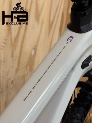 Canyon Spectral Mullet CF 8 CLLCTV Carbon XT 2022