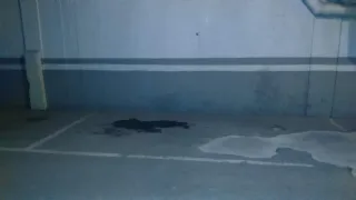 Alquiler plaza de garaje