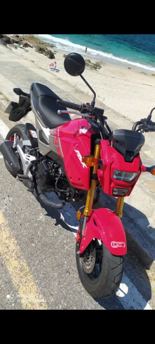 Honda MSX Roja Manual 125cc