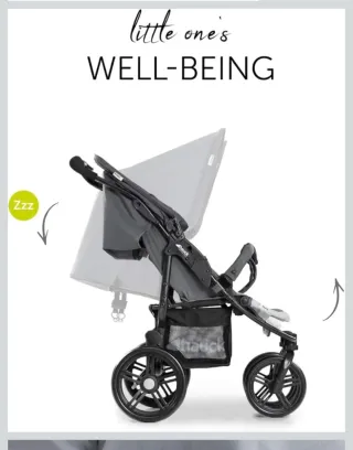 Carrito Gemelar Hauck