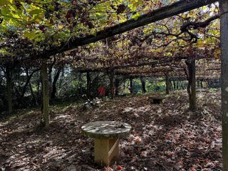 Nave industrial en alquiler en Rois