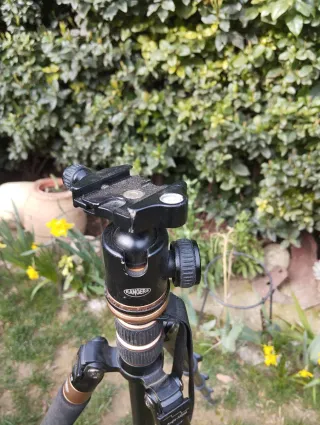 Trípode profesional