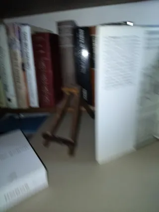 El gallo negro (Novela historica) (Spanish Edit...