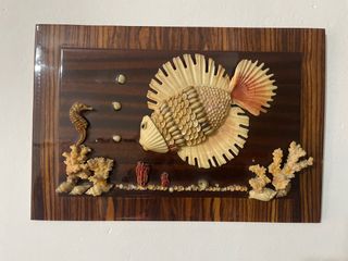 Cuadro antiguo de conchas marinas