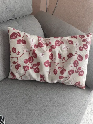 Cojines Decorativos
