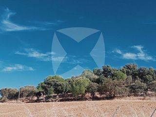 Terreno en venta en Ctra de Sevilla - Ronda sur en Badajoz