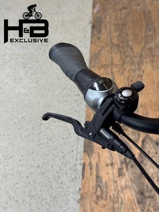 Riese & Müller Cruiser Mixte Rücktritt Nexus 2021