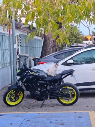 Yamaha MT-07 2019 A2 - SC project