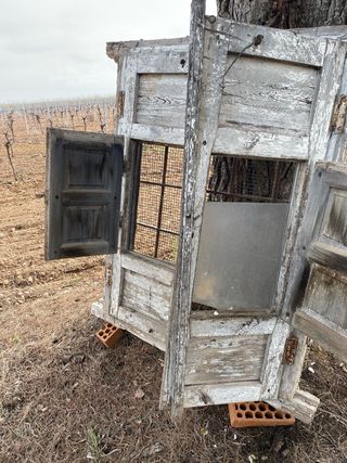 Puertas antiguas de madera
