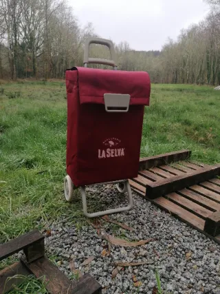 Carro de la compra rojo y gris