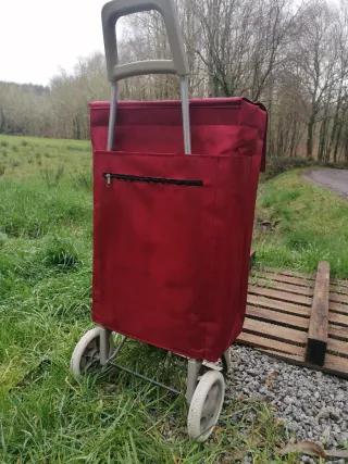 Carro de la compra rojo y gris