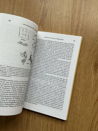 Los chamanes de la prehistoria