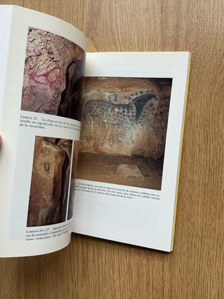 Los chamanes de la prehistoria