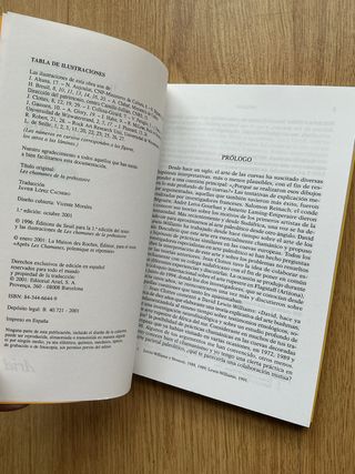 Los chamanes de la prehistoria