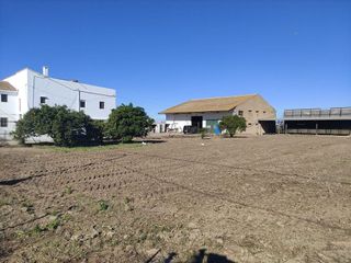 Terreno en alquiler en Pinedo en Valencia