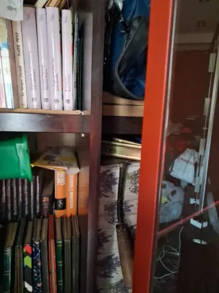 Librería moderna madera noble y cristal