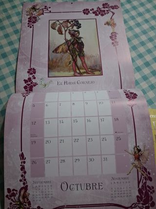 Calendario Le Fate dei Fiori 2009