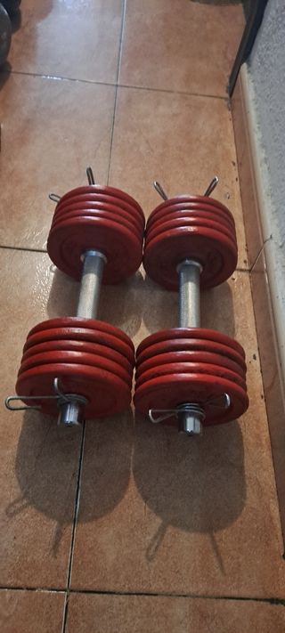 PESAS 2 MANCUERNAS SALTER