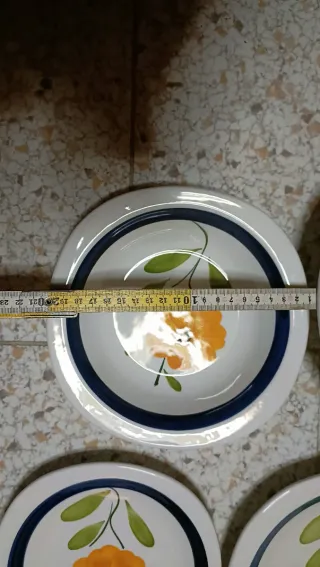 Servizio piatti 51 pezzi decorato floreale