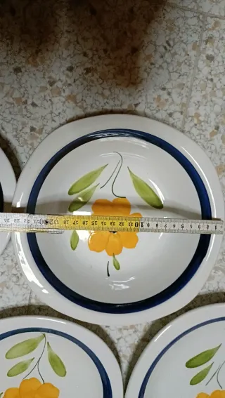 Servizio piatti 51 pezzi decorato floreale