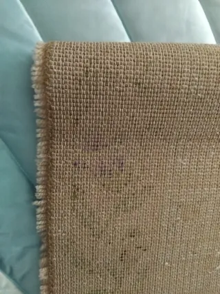 Alfombra de lana rosa con flores como nuevas.