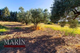 Chalet en venta en Las Vaguadas - Urb. del Sur en Badajoz