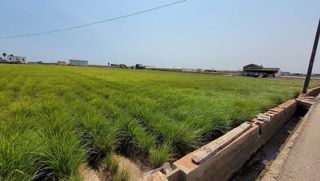 Terreno en venta en Alboraya Centro en Alboraya