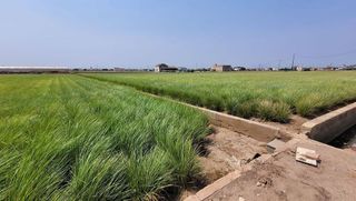 Terreno en venta en Alboraya Centro en Alboraya