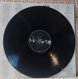 Vinilo Sting The Soul Cages