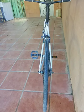 Bicicleta Fixie Reversible Orbea Blanca
