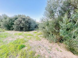 Terreno en venta en Cristo Rey - Parque Europa en Inca