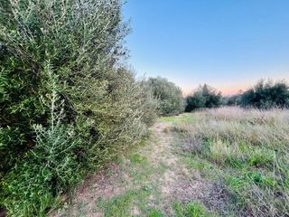 Terreno en venta en Cristo Rey - Parque Europa en Inca