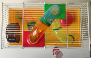 Jaula hamster, buen estado