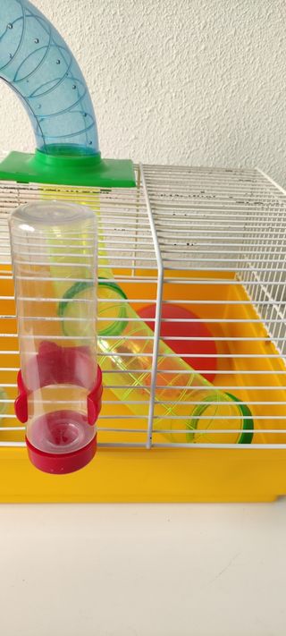Jaula hamster, buen estado