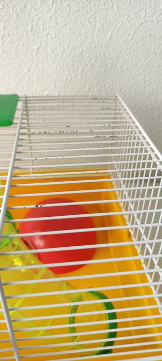 Jaula hamster, buen estado