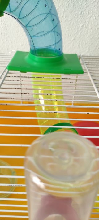 Jaula hamster, buen estado