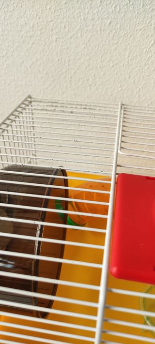 Jaula hamster, buen estado