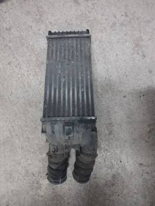 Paragolpes delantero y radiador