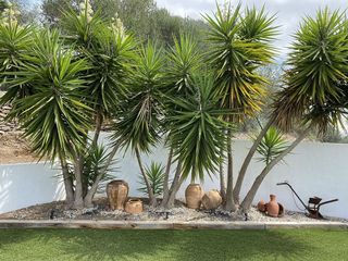 Casa en venta en Amposta