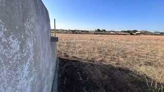 Terreno en venta en Pinar de los Franceses - Marquesado en Chiclana de la Frontera