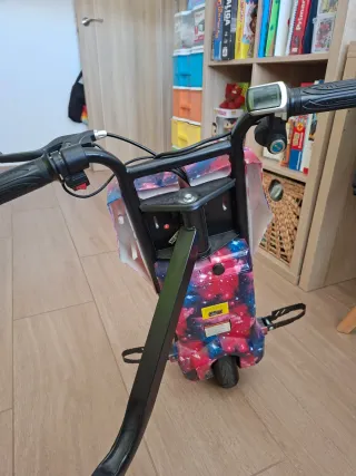 Triciclo eléctrico. Motor 250w. Alcanza 25km/h