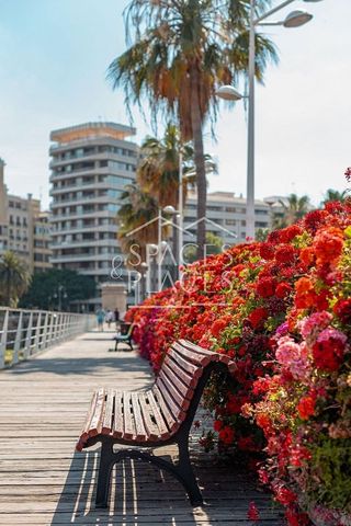 Piso en alquiler en La Malva-rosa en Valencia