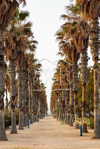 Piso en alquiler en La Malva-rosa en Valencia