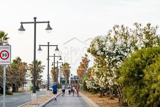 Piso en alquiler en La Malva-rosa en Valencia