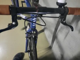 Bicicleta Fixis