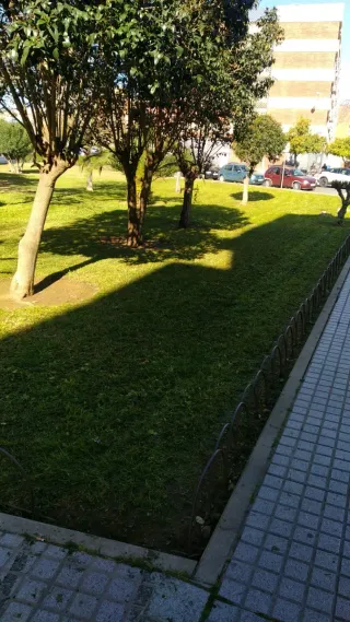 Se ofrece jardinero con experiencia