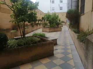 Se ofrece jardinero con experiencia