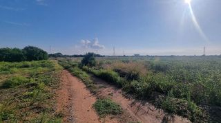 Terreno en venta en Centro en Villarreal